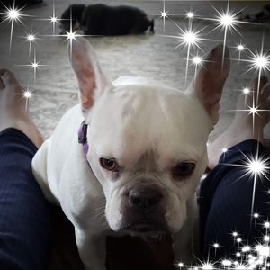 Meet your Posher, Karla